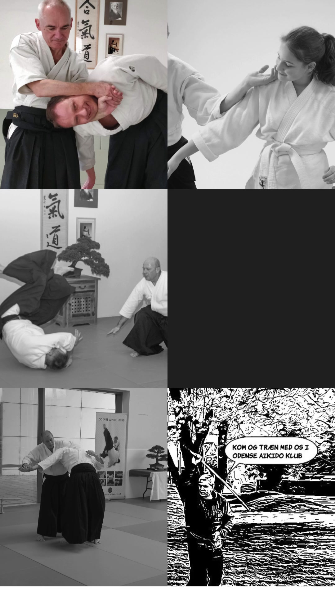 Odense Aikido Klub